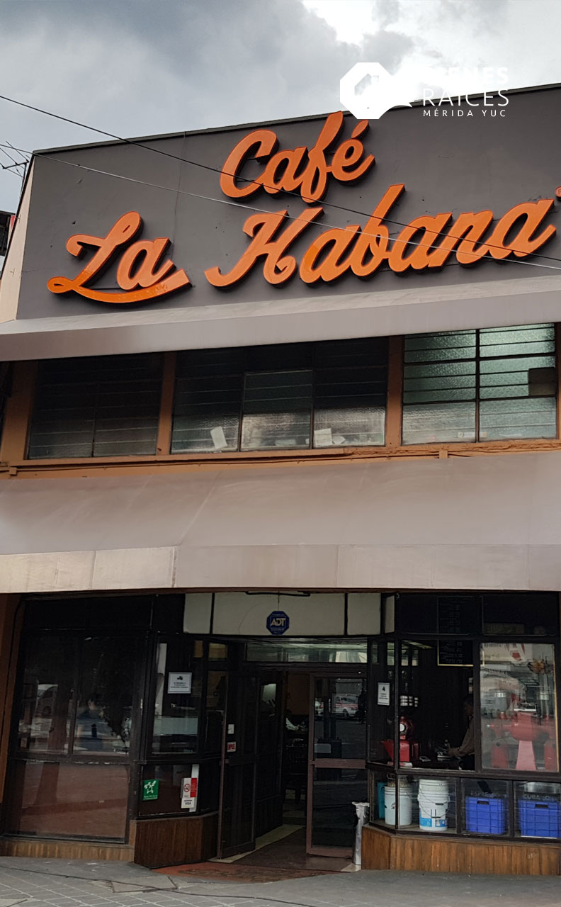 Visita uno de los rincones favoritos en la CDMX Café La